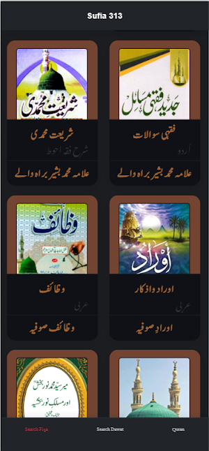 sofiya 313 Screenshot 0
