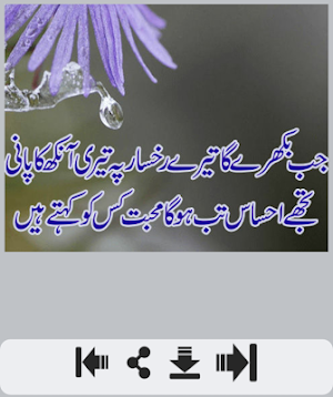 Ishq Shayari عشق شاعری Screenshot 0