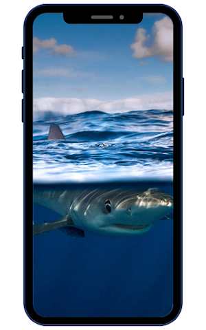 Shark Wallpapers Screenshot 0