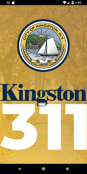 Kingston311 Screenshot 0