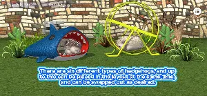 My Hedgehog Screenshot 2