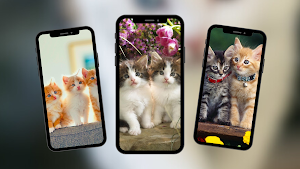 Cats Wallpaper Screenshot 2