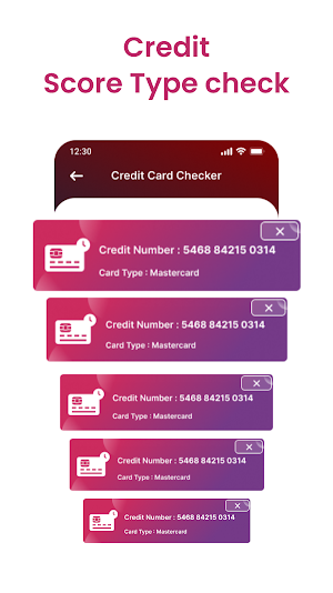 Credit Card Loan & Validator Screenshot 3