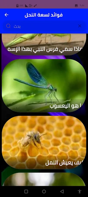 حشرات وكائنات دقيقة Screenshot 2