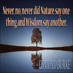 Wisdom Quotes Wise Words Screenshot 1