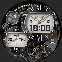 Golden Cauldron ZKin Watch