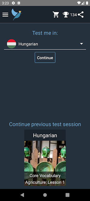 Hungarian Language Tests Screenshot 0