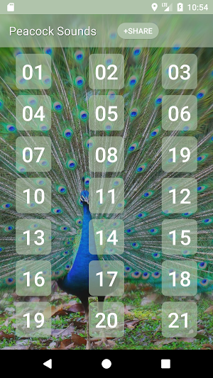 Peacock (Animal) Sounds Screenshot 0