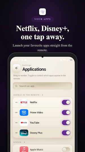 Roku Remote Screenshot 2