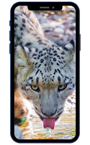 Snow Leopard Wallpapers Screenshot 1