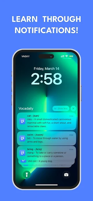 Vocadaily: Daily Word Learning Screenshot 3
