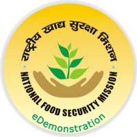 e-Demonstration