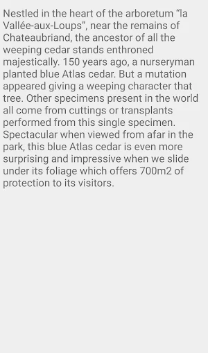 Weeping Blue Cedars Screenshot 3