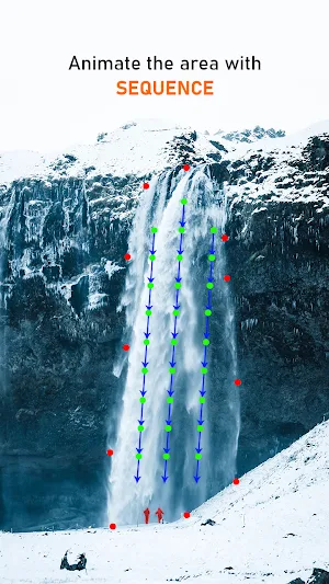 Loops Photo Motion Live Wallpaper Screenshot 2