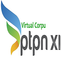 Virtual Corpu N11