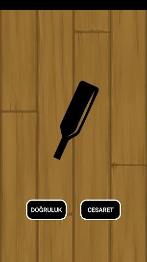 Şişe Çevirmece Screenshot 1