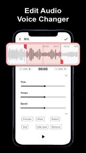 SuperRecorder: Voice Recorder Screenshot 2