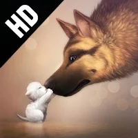 Dog Wallpaper HD