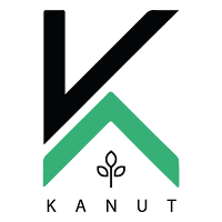 Kanut
