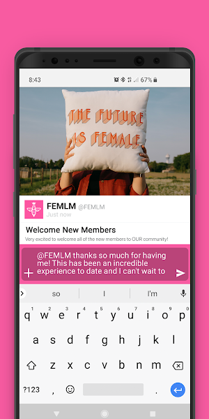 FEMLM Screenshot 1