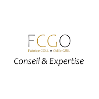 FCGO CONSEIL ET EXPERTISE