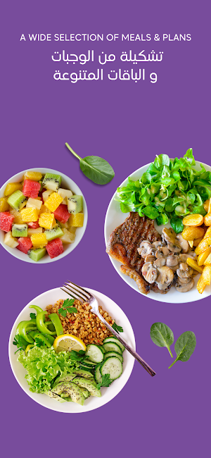 Very Easy Diet Screenshot 2