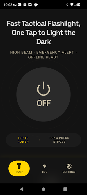 VOI Flashlight Screenshot 0