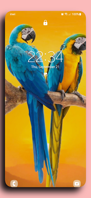 Parrot wallpapers Screenshot 0