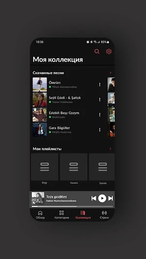 Dinle Music Screenshot 1