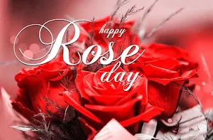 Happy Rose Day Screenshot 1