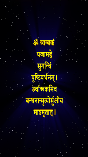 महामृत्युंजय मंत्र Screenshot 3