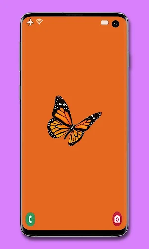 Orange Wallpaper 🔶 Screenshot 1