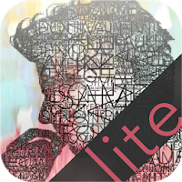Synonymy Lite