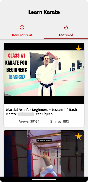 Learn Karate Screenshot 3