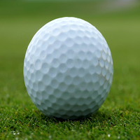 Golf counter