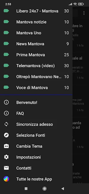 Mantova notizie Screenshot 1