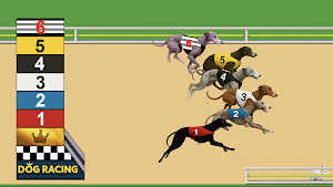 Dog Racing Screenshot 2