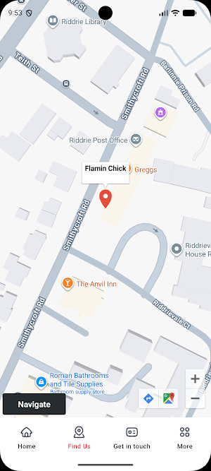 Flamin Chick Screenshot 1