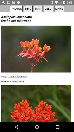 Mississippi Wildflowers Screenshot 3