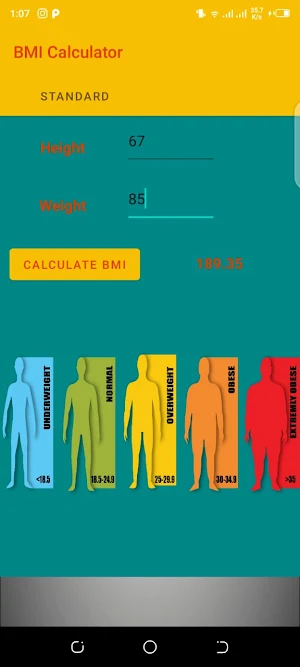 BMI Calculator Screenshot 3