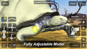 Tortoise Mannequin Screenshot 0