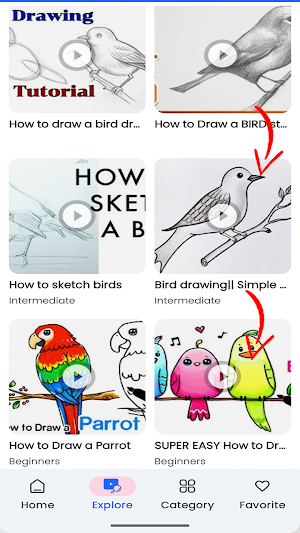 How To Draw Birds Step by Step Screenshot 3