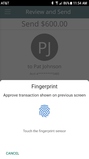 Nok Nok™ BankAuth Screenshot 2
