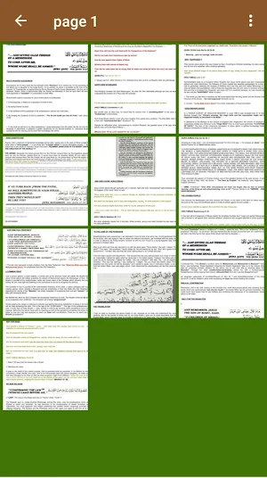MUHUMMED THE NATURAL SUCCESSOR TO CHRIST Screenshot 2