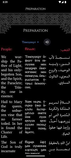 Synaxis Screenshot 1