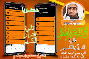 قران كامل سعدون حمادي بدون نت Screenshot 0
