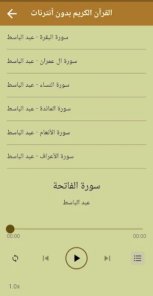 القرآن كامل عبد الباسط بدون نت Screenshot 2