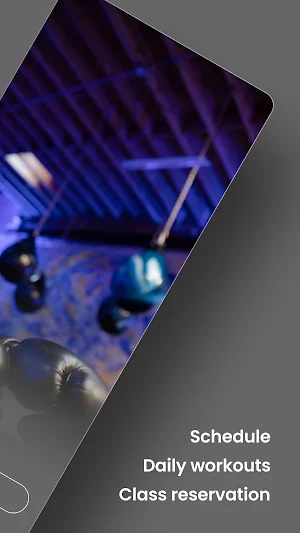 Boxe Studios Screenshot 1