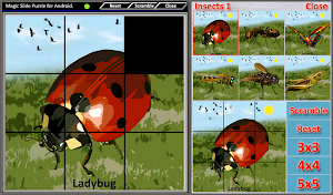 Magic Slide Puzzle Insects 1 Screenshot 1