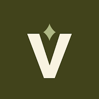 AI Video Generator: Vidalo
